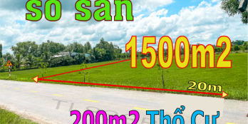 Đất lập vườn1500m2 mặt tiền nhựa Mỹ Thanh Tây - Đức Huệ - Long An giá đầu tư