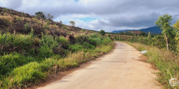 Bán đất Phi Tô, Lâm Hà, Lâm Đồng