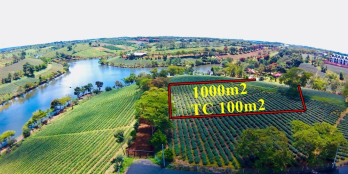 1000m2 view HỒ cực xịn, THỔ CƯ sẵn ngay TT Bảo Lộc