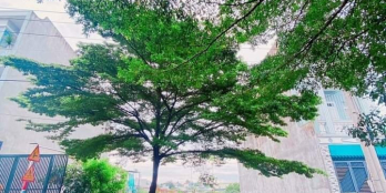 Bán đất lê phong Tân Bình gần ngã tư chiêu liêu