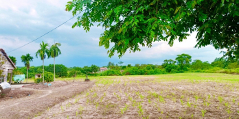 290 triệu/ 1189m2 ngang 12m đất Đắk Lak ngay khu dân cư hiện hữu.