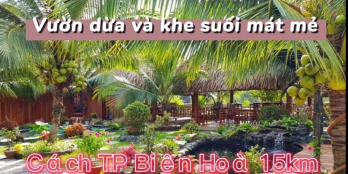 BÁN ĐẤT VƯỜN VUÔNG ĐẸP CÓ CÂY ĂN TRÁI