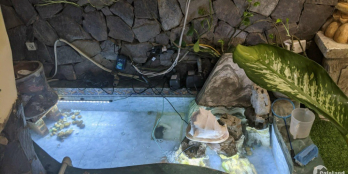 Siêu hiếm, mặt phố Khương Trung, Thanh Xuân. 60m2 x 5T, Giá chỉ 10 tỷ.