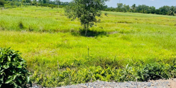 3000m2 đất vườn 2 mặt tiền  View Sông mát mẻ . Giá 2ty068tr . đường 10m trên sổ