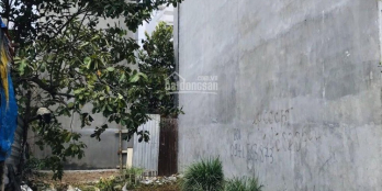 chủ bán gấp lô đất đường Đào Trí, P Phú Thuận, Quận 7, 80m2, sổ riêng, giá 3tỷ1