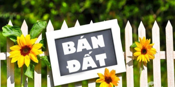 Nhà P9 Đà Lạt. Hẻm đường nhựa Ô Tô 7 chỗ. Cách đường chính 300.. DT 320m² ngang