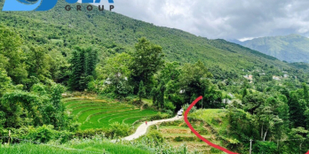 ĐẤT SAPA2 GIÁ RẺ CHỈ TỪ 1TR/1M2