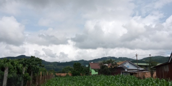 Đất Tà Nung 625m² sẵn 360m². Cách Uỷ Ban Xã Tà Nung 1km.  12m ngang. Đất đẹp bằn