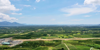 Bán hơn 2 héc ta đất vườn trên núi Cam Hiệp Bắc, view toàn cảnh bãi dài Cam Lâm
