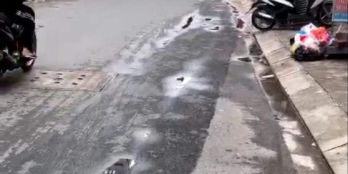 Địa Chỉ Hẻm Như Nhà MT Nhỉnh 16 Tỷ CN 100 - 4x25m Vị Trí Đẹp -Dòng tiền 30Tr/th