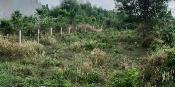 BÁN LÔ ĐẤT MT NGAY TRUNG TÂM XÃ AN PHƯỚC, LONH THÀNH