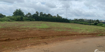 HOT HOT HOT  Còn 2 nền Duy Nhất Tai Lộc An