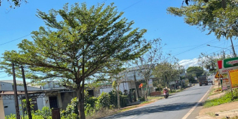 trả nợ bán đất gần trung tâm bảo lộc