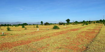 Cần bán gấp lô đất trang trại biển Bình Thuận, 110 triệu/sào, 1.4ha đã có sổ!