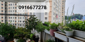 Bán gấp nhà 5 tầng có thang máy đường Hòa Hảo, P2, Q10, TP. HCM nhà mới xây