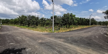 Bán đất ngay KCN Định Quán, đường trải nhựa đẹp tới đất