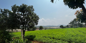 Bán ngộp 7x24.9m ( 100m2 thổ cư) nằm ven sông tại Đơn Dương giá 1 tỷ 080