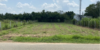 VỢ CHỒNG TÔI CẦN BÁN GẤP 816M2 NGAY CHỢ ,ĐỐI DIỆN TRƯỜNG.GIÁ 520TR.