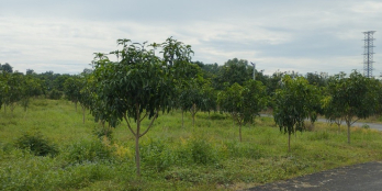 Bán đất MT đường nhựa 28m ngay KCN, cạnh khu dân cư đông đúc