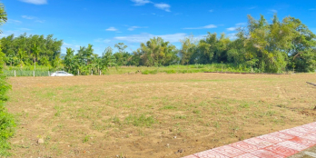 Bán đất nền thổ cư giá rẻ bao sổ KDC Nghĩa Lâm 05 với 280tr/ lô