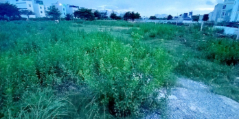 SIÊU PHẨM !!!! Đất An Thới Đông Cần Giờ 10666m2 giá chỉ 10,8 tỷ