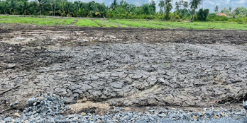 400m2 đất thổ cư , giá đầu tư. Cách đường nhựa TL816 chỉ 150m.