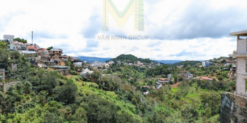 Siêu phẩm đất view rừng thông đường Hoàng Hoa Thám, Đà Lạt, chỉ 1 lô duy nhất