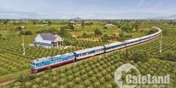 Cần bán đất trồng cây lâu năm, gần liên huyện, xã Bình Tân, huyện Bắc Bình.