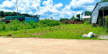 KẸT TIỀN TÔI BÁN 2.500M2 ĐẤT CHÍNH CHỦ SỔ HỒNG RIÊNG MẶT TIỀN TỈNH LỘ GIÁ 480 TR