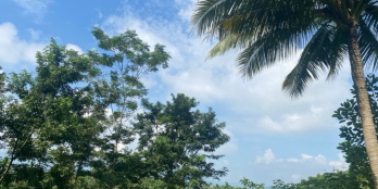 Bán đất thôn Liên Bu,Minh quang 3760m ( 400 đất ở) mặt tiền hơn 100m đường