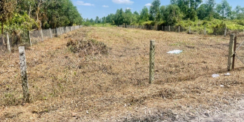 cần bán 2200m2 đất vườn ,gò cao vuông vức  đường xe tải . Đất 1/ TL816 chỉ 800m