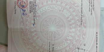 CHÍNH CHỦ CẦN BÁN LÔ ĐẤT BIỂN HOA HẬU XÃ QUẢNG THÁI HUYỆN QUẢNG XƯƠNG THANH HÓA