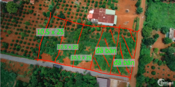 Trả quá ít được quá nhiều - 500 triệu cho 1 nền thổ cư  250m2-10 x 25