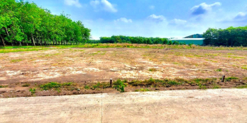 CẦN BÁN GẤP LÔ ĐẤT SÀO DIỆN TÍCH 3.200M2, SHR, LỘ 25M, GẦN CHỢ TRƯỜNG, KẾ KCN