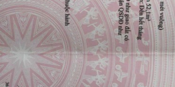 Bán nhà gốc 2MT Quốc Lộ 50 , Gần KCN Gia Thuận 1-2