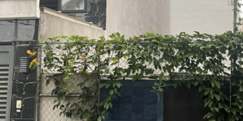 Bán GẤP lô đất HXT 535 Thống Nhất, P.16, Gò Vấp, 4.2x20m, 6.1 tỷ