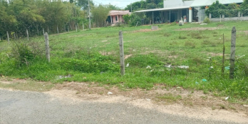 Cần tiền gấp nên bán 1.017m2, gần chợ, thổ cư, 190TR, đường nhựa 18m, sát KCN.