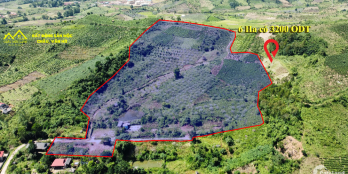 6 Ha có 3200m ODT tại Mộc Châu Sơn La. View đỉnh, Ô tô cũng  lên tận đỉnh!