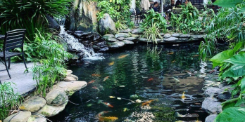 THIỆN CHÍ BÁN NHÀ MẶT TIỀN CỰC RỘNG GIỮA LÕI THÀNH PHỐ ĐANG KINH DOANH CAFE