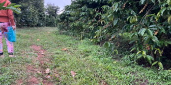 9000m2 đất có 50m mặt tiền đường xe hơi tận nơi. Chỉ 1,2 tỷ