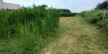 HIẾM:ĐẤT GIÁ RẺ,HUYỆN CỦ CHI,DT: GẦN 3000M2 MT ĐƯỜNG TỈNH LỘ 7,GIÁ 8 TỶ TL