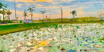 Sở hữu ngay lô đất đẹp tại KDC Đức Hòa Đông (Dragon Pearl) Giá 1 tỷ 9 - DT100m2