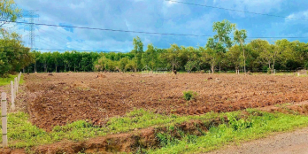 BÁN ĐẤT NỀN 1.150M2, SHR, THỔ CƯ, ĐẤT SÁT TRƯỜNG CHỢ, GIÁ 240 TRIỆU