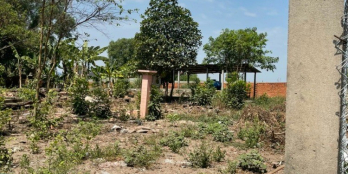 Cần bán gấp thửa đất tại ấp Trung Đông, Thới Tam Thôn, Hóc Môn, HCM