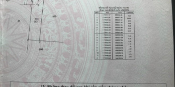 CHÍNH CHỦ BÁN MIẾNG ĐẤT 122,3M  HOÀNG PHAN THÁI ,XÃ BÌNH CHÁNH , BÌNH CHÁNH