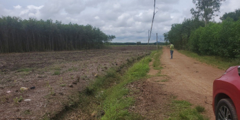 Bán 6 sào đất ở quê, gần chợ Sùng Nhơn, giá 770tr