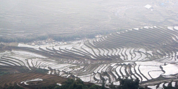 ĐẤT NỀN SAPA VIEW MÂY RUỘNG BẬC THANG GIÁ RẺ ĐẦU TƯ CỰC TỐT