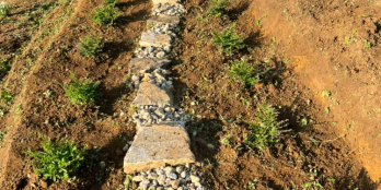 ĐẤT NỀN Y TÝ (SAPA2), KHAI THÁC DU LỊCH 4 MÙA