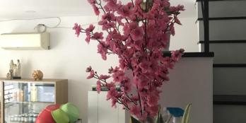 Hẻm xe tải Nguyễn Quý Anh, Tân Sơn Nhì, Tân Phú