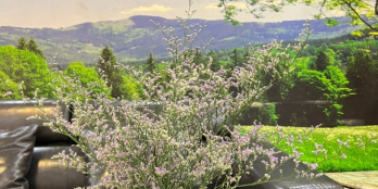 Cần bán nhanh căn hộ Oriental quận Tân Phú, view triệu đô nhìn về Landmark81